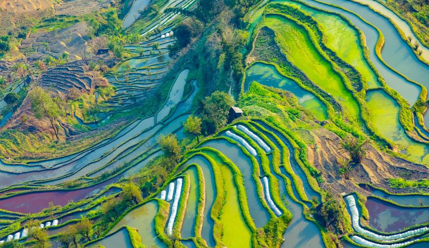 宝妈必备神器：全椒县产品视频拍摄轻松育儿好帮手